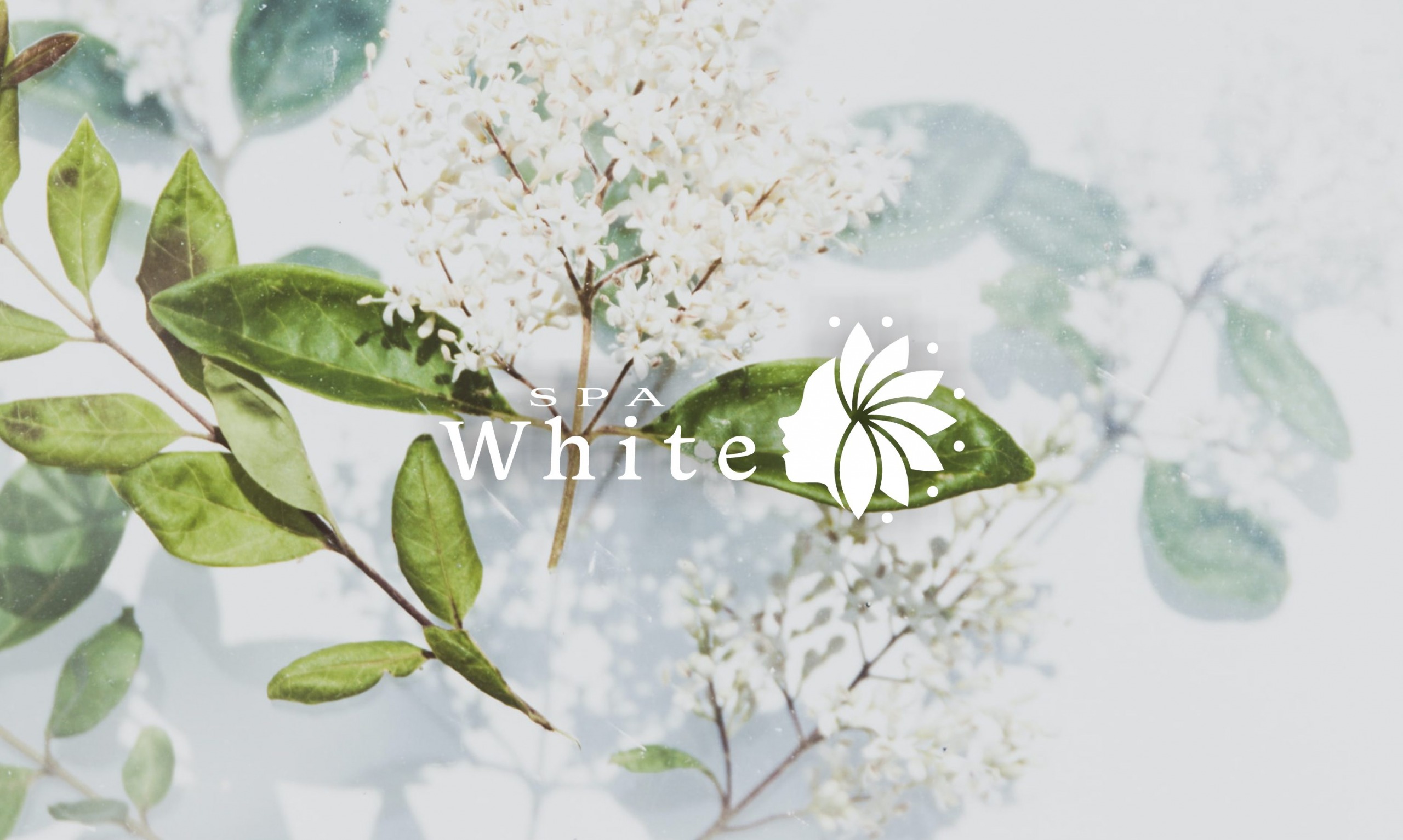 SPA Whiteのイメージ